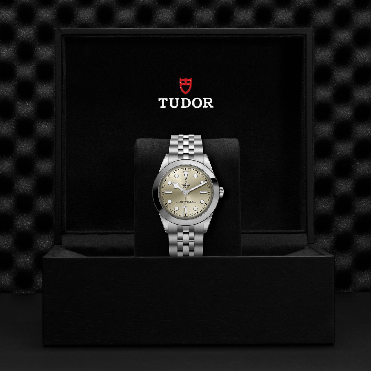 Tudor Black Bay 39 M79660 0003 Maison Birks